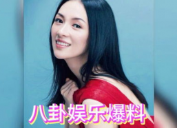 娱乐明星吃瓜up
