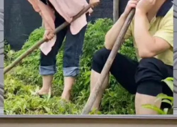 娱乐八卦一定吃瓜群众,揭秘“吃瓜群众”的八卦盛宴