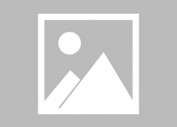 lt的明星,璀璨星途回顾