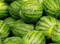 吃瓜网每日大赛聚集地,每日大赛聚集地，精彩赛事一网打尽！