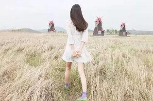 娱乐吃瓜酱背影图片,一场视觉与情感的邂逅